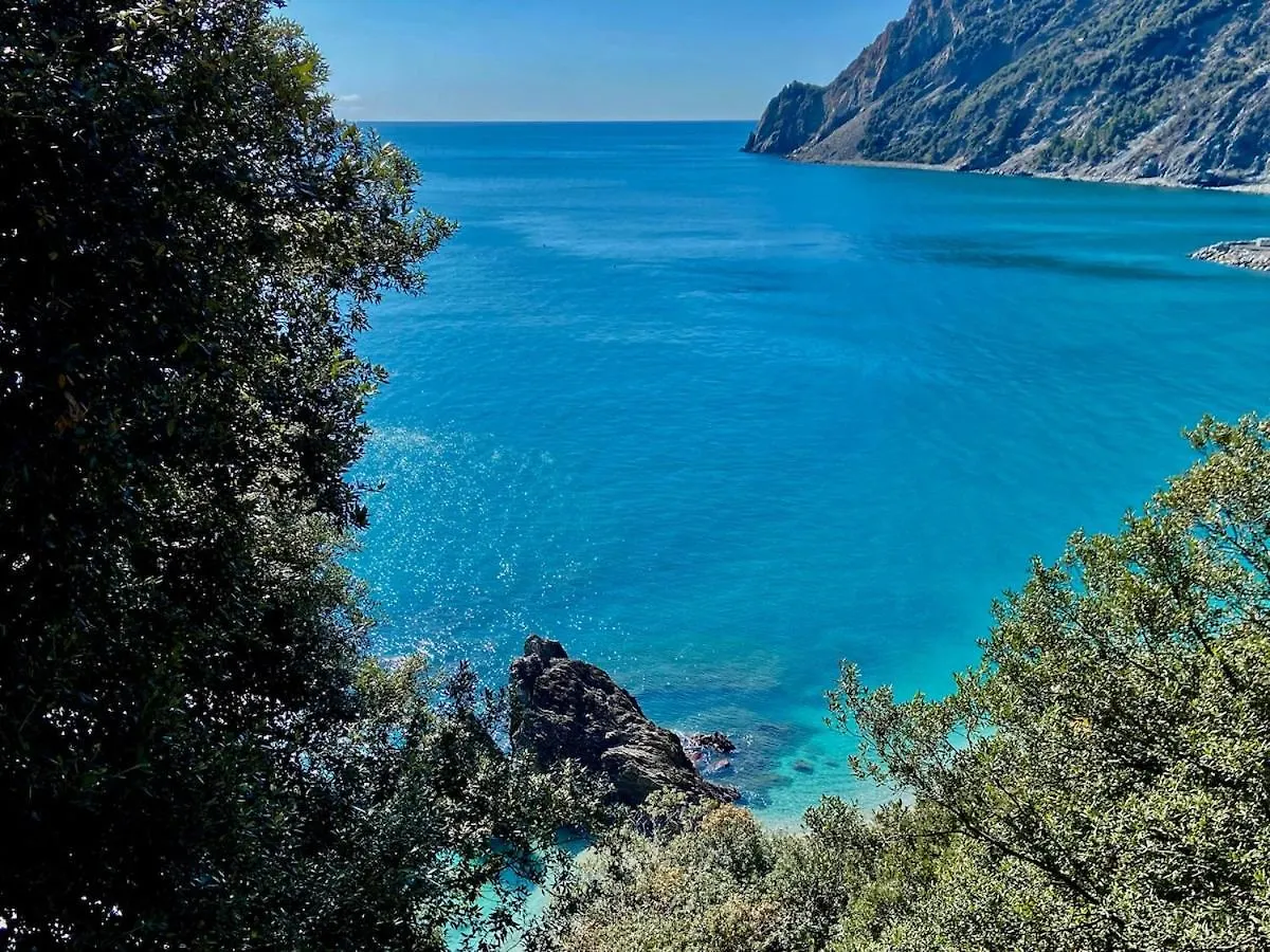 Monterosso Home - Cinque Terre Monterosso al Mare Apartment